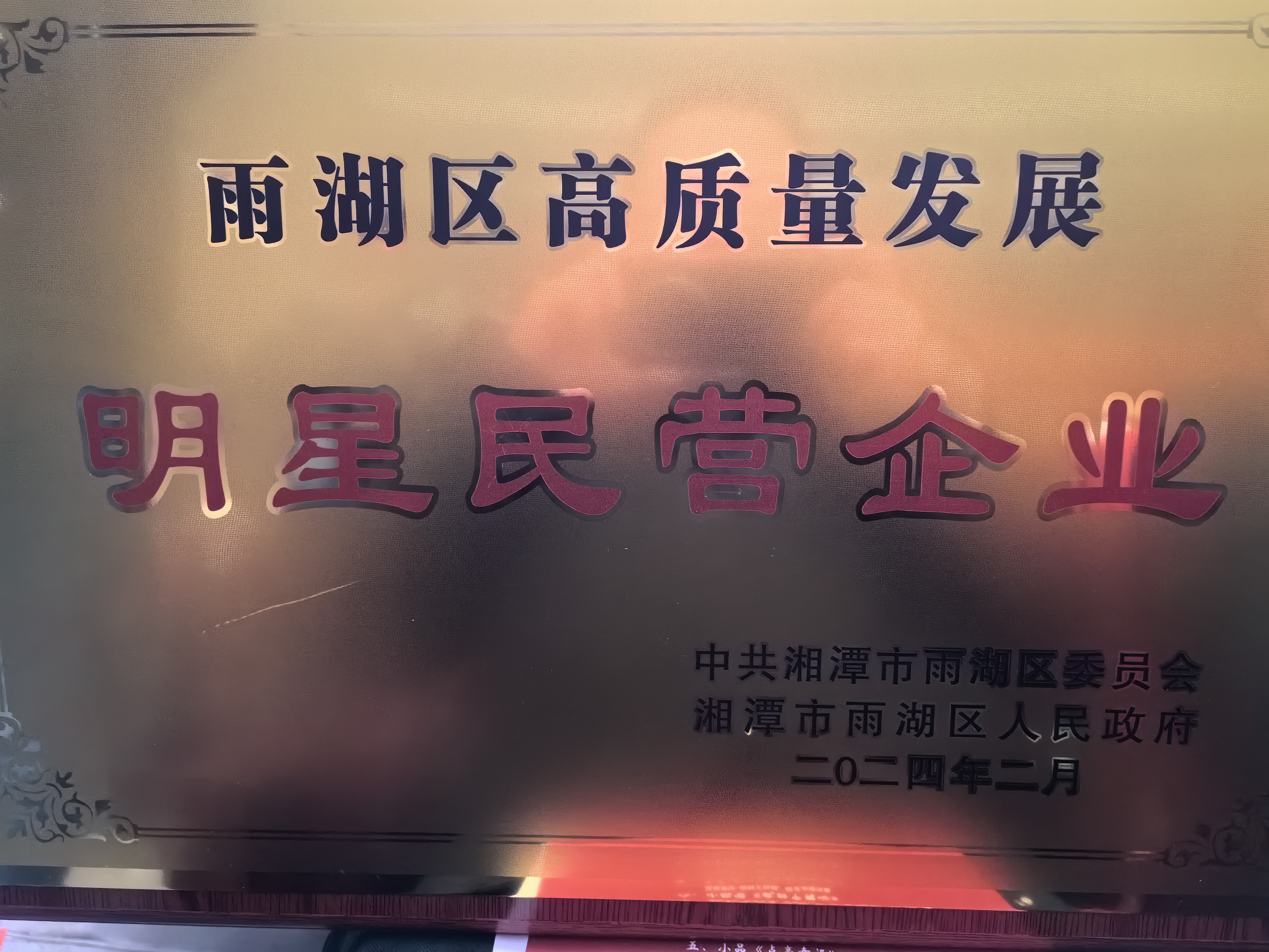 澳洲10体育荣获“雨湖区高质量发展明星民营企业”称号
